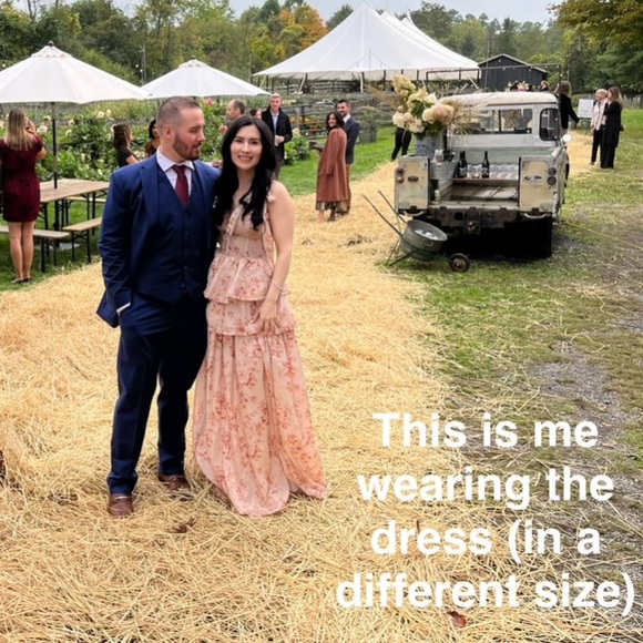 🎁 SOLD 🎁BNIB NWT STUNNING V Chapman Maile Gown Dress in Cedar Rose - 2 - Picture 5 of 10